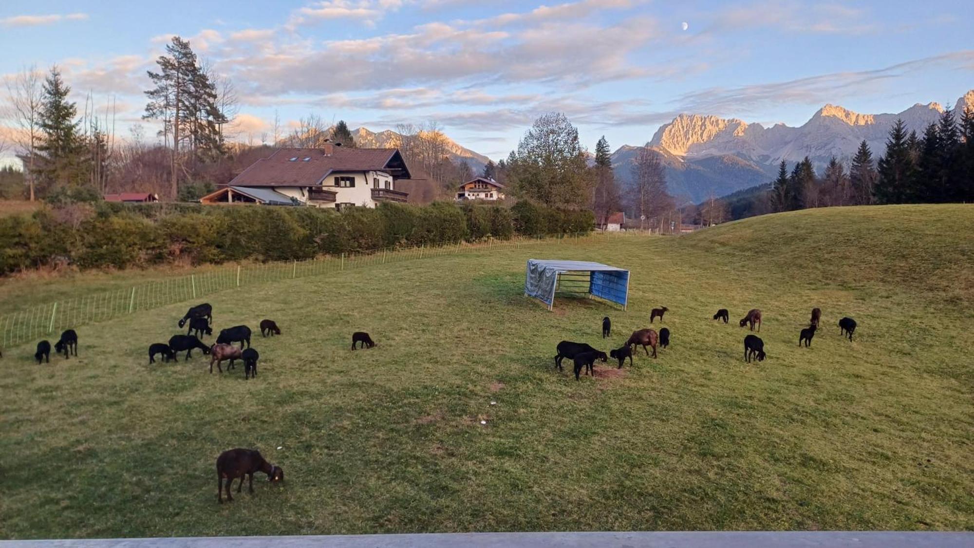 Bauernhaus Jocher Krün Exterior foto